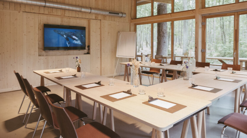 salle de réunion lumière du jour