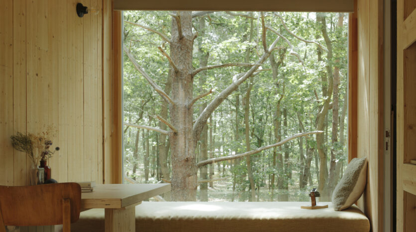 espace chambre lumière du jour